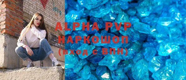 трава Няндома