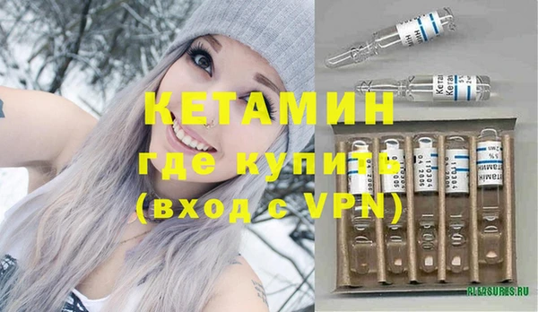 трава Няндома