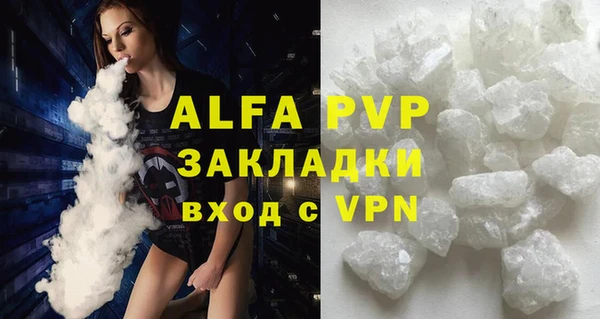 трава Няндома